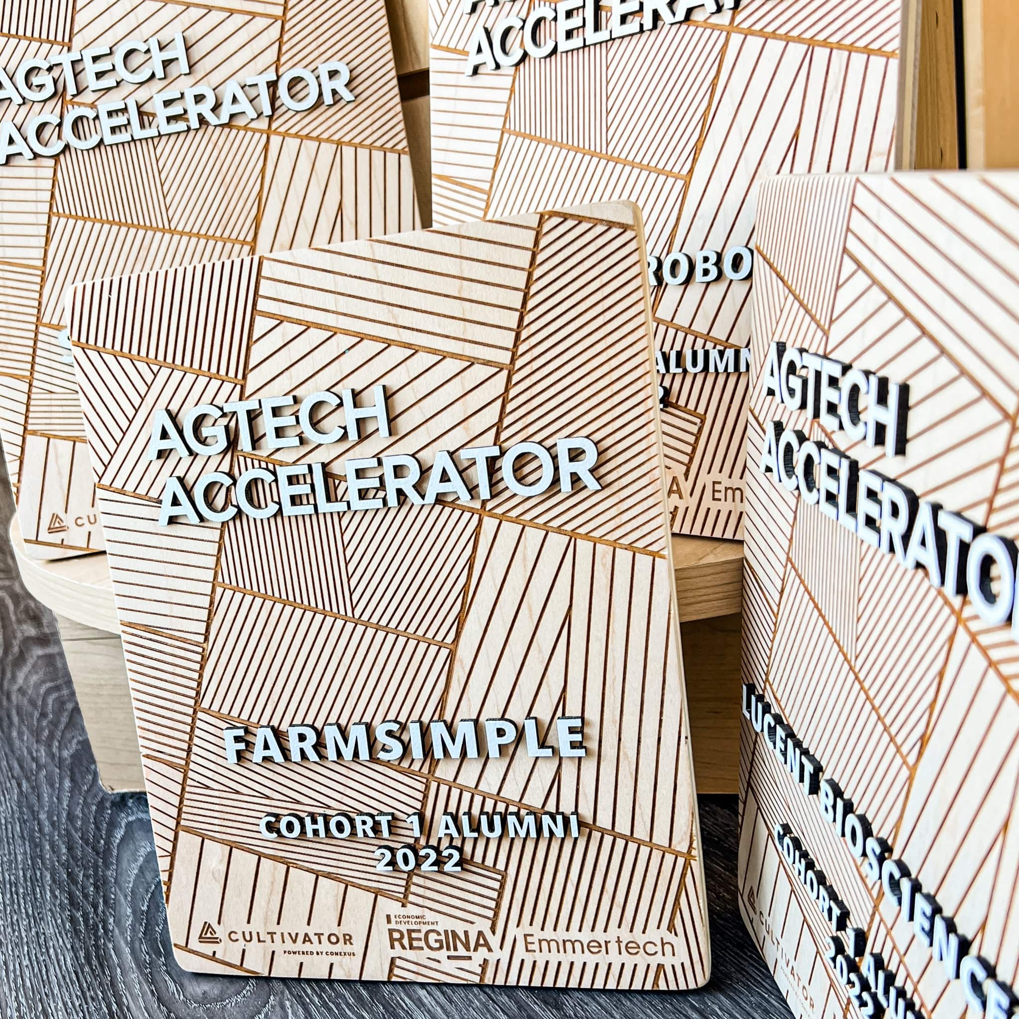 Custom Plaques - Image 3