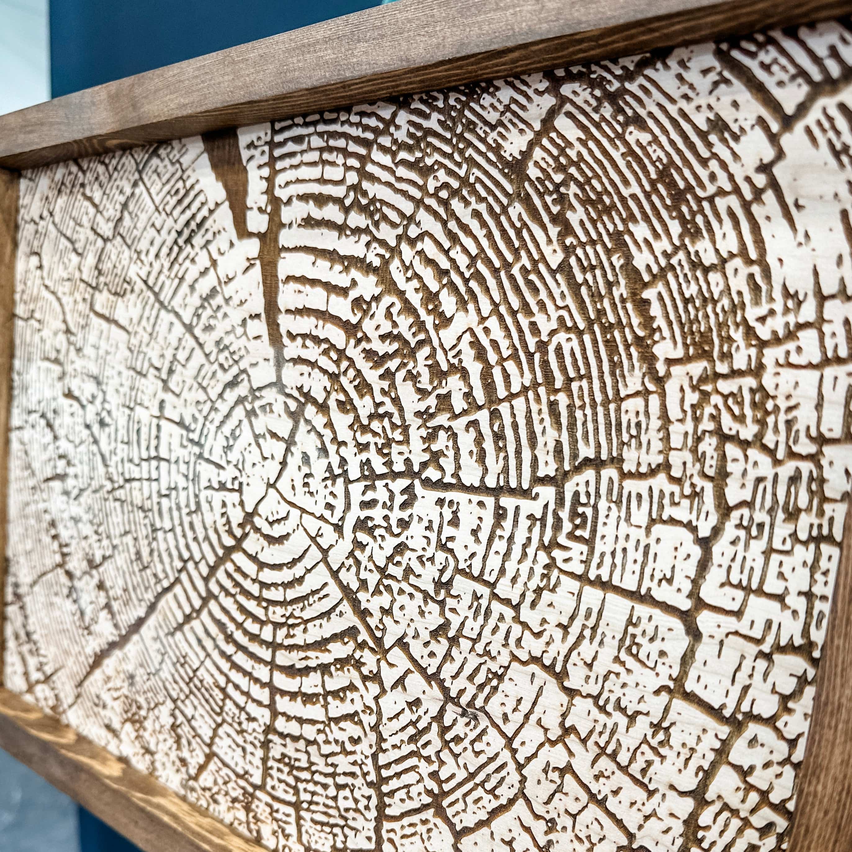 Tree Ring Artwork - Image 3